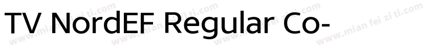 TV NordEF Regular Co字体转换